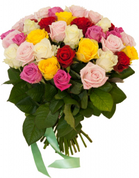 Розы Россия микс № 4