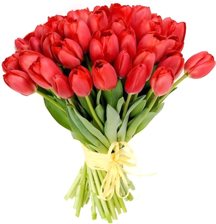 Красные тюльпаны